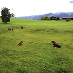 Haslinghof Διαμέρισμα Saalfelden