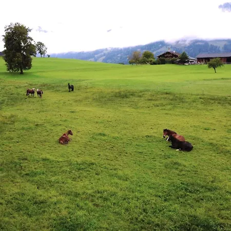 Haslinghof Lejlighed Saalfelden