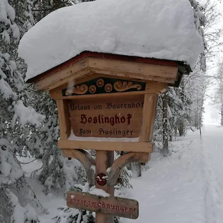 Haslinghof *