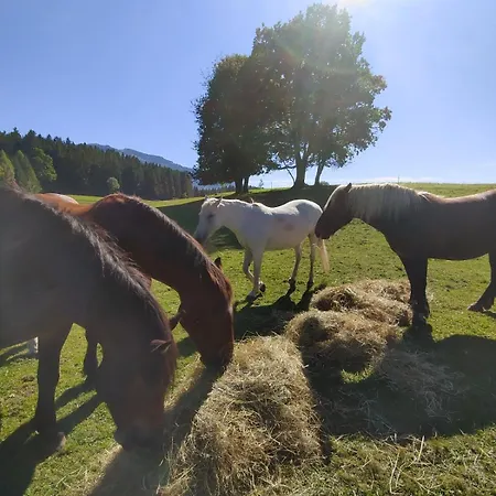 Апартаменты Haslinghof *