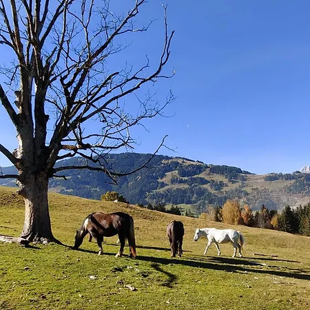 Appartement Haslinghof