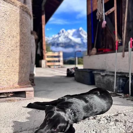 Appartamento Haslinghof *