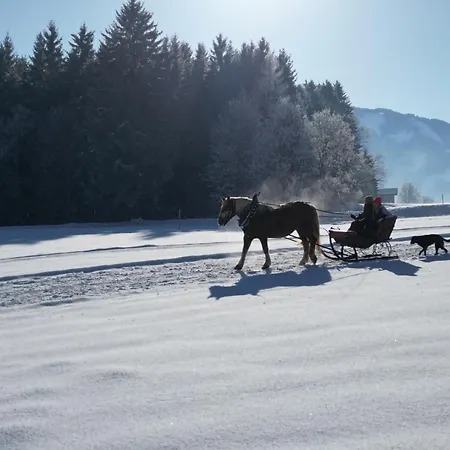 Appartamento Haslinghof Saalfelden