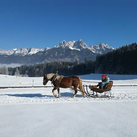 Haslinghof Appartamento *