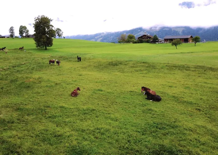 Haslinghof アパート ザールフェルデン・アム・シュタイナーネン・メアー