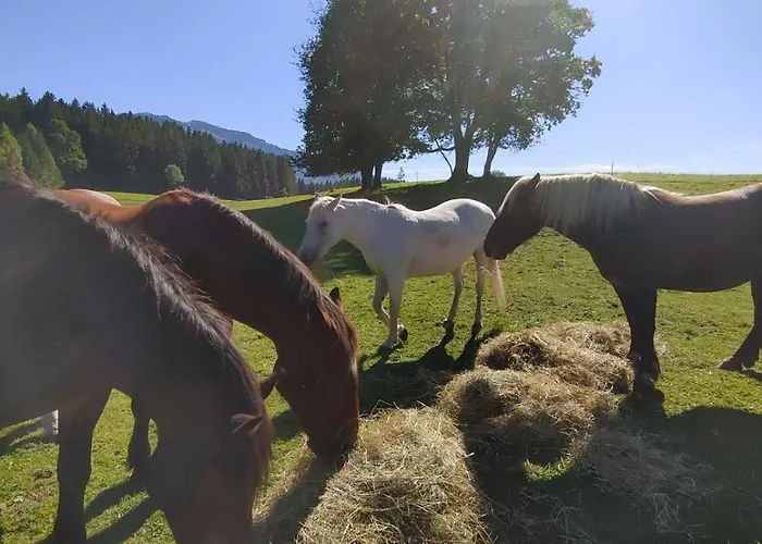 アパート Haslinghof *