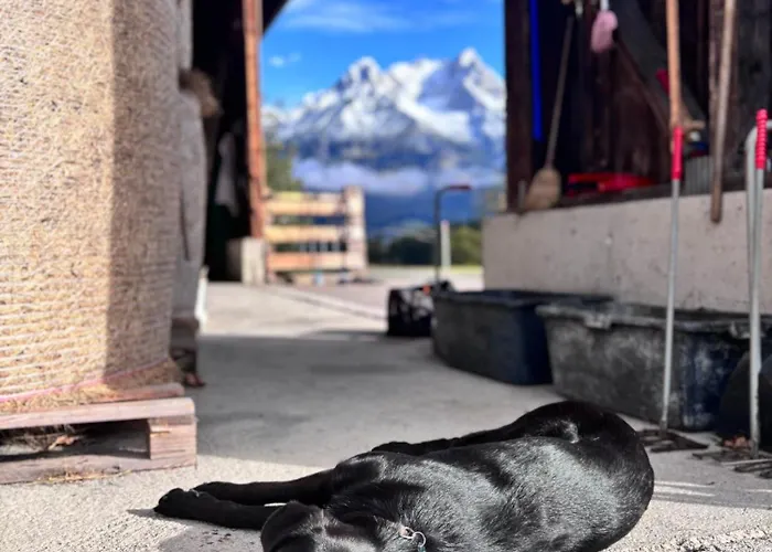 アパート Haslinghof *