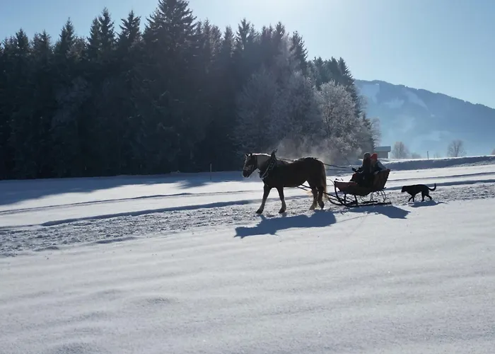 アパート Haslinghof ザールフェルデン・アム・シュタイナーネン・メアー