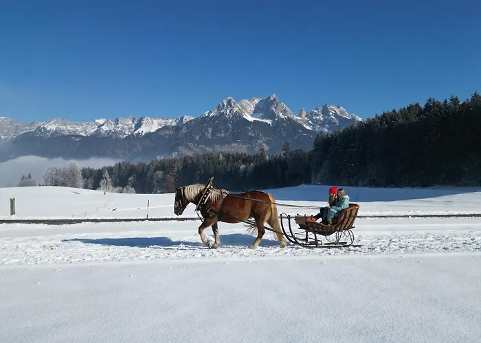 Haslinghof Apartman *